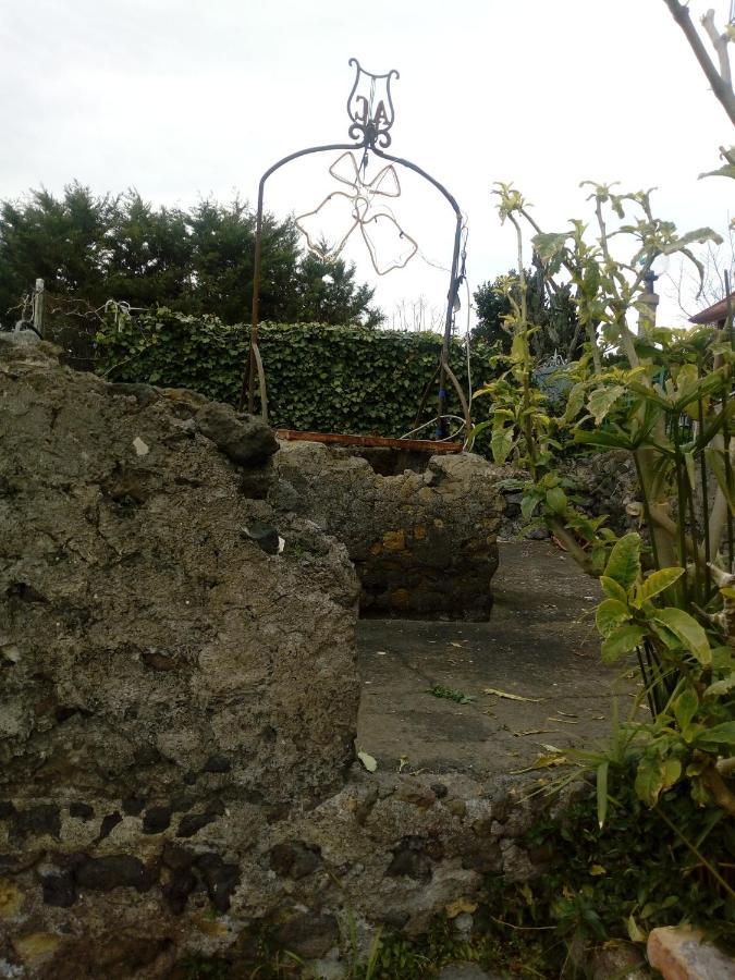 Casa Vacanze Da Rosy Ercolano Exterior photo